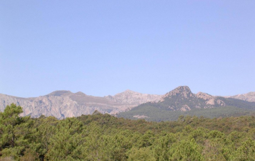 Location de vacances - Villa à Sari-Solenzara