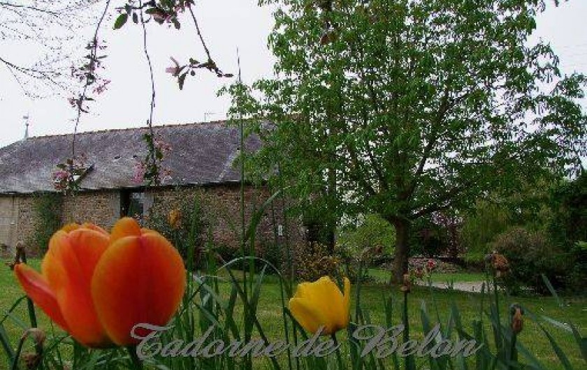 Location de vacances - Gîte à Pleudihen-sur-Rance - FLeurs