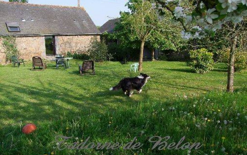 Location de vacances - Gîte à Pleudihen-sur-Rance - Côté ouest