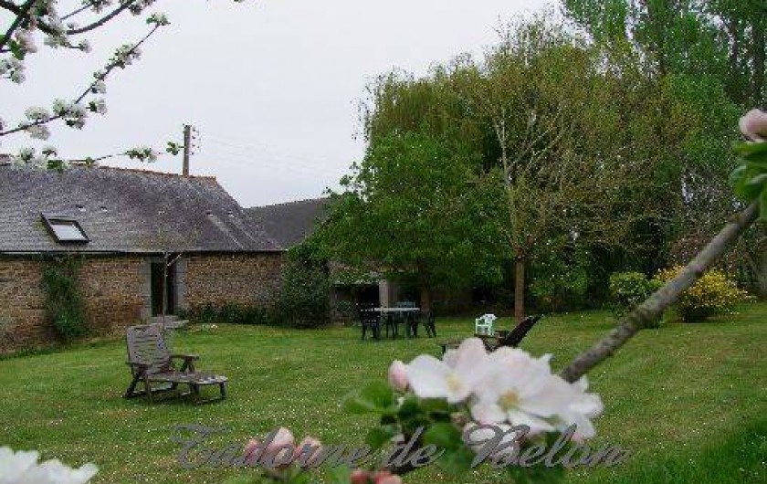 Location de vacances - Gîte à Pleudihen-sur-Rance - Pelouse devant le gîte  ouest