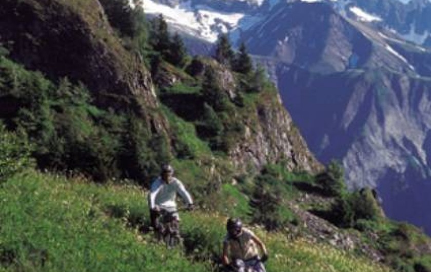 Location de vacances - Chalet à Les Deux Alpes - VTT