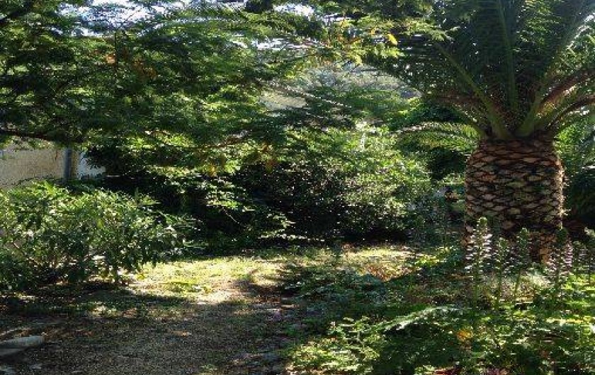 Location de vacances - Villa à Canari - jardin