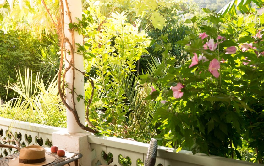 Location de vacances - Chambre d'hôtes à Marseille - le jardin exotique de la maison d'hôtes dans les calanques de marseille