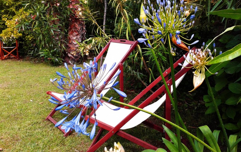 Location de vacances - Chambre d'hôtes à Marseille - le jardin des chambres d'hôtes en bord de mer