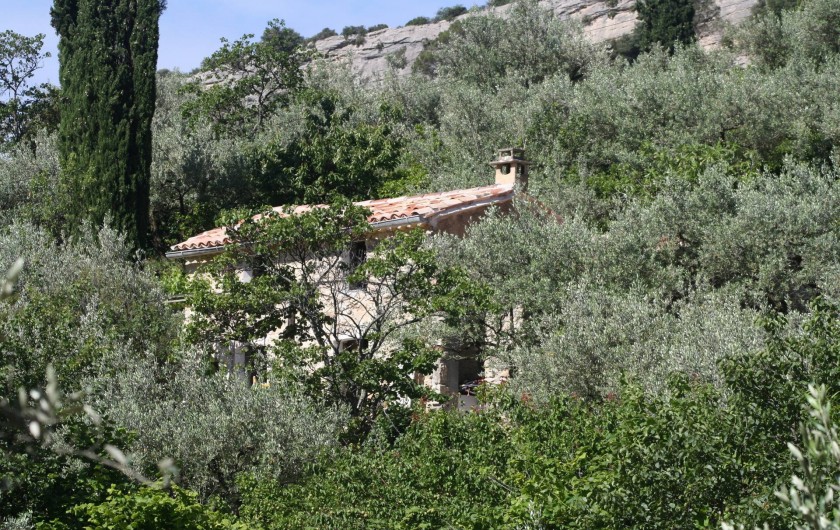 Location de vacances - Villa à Nyons - le cabanon coté Est