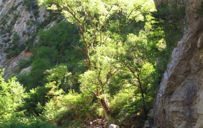 Location de vacances - Villa à Nyons - randonnée pas des Ondes