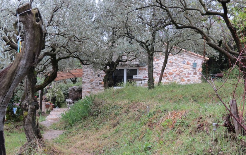 Location de vacances - Villa à Nyons - le cabanon dans les oliviers.