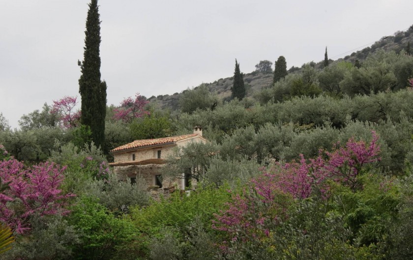 Location de vacances - Villa à Nyons