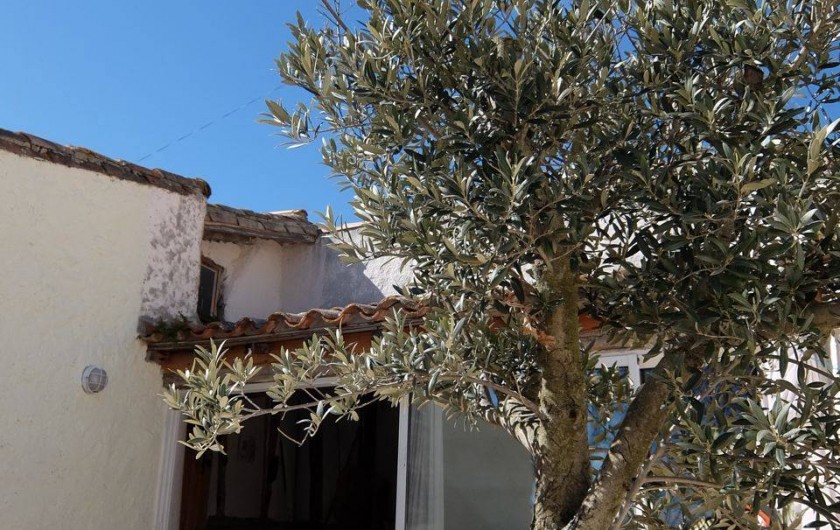 Location de vacances - Chambre d'hôtes à Montolieu