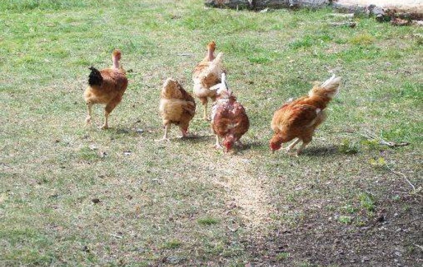 Location de vacances - Gîte à Entraunes