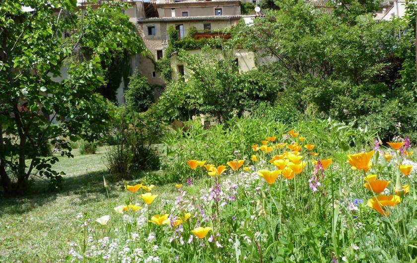 Location de vacances - Gîte à Mollans-sur-Ouvèze - Le jardin fleuri en été