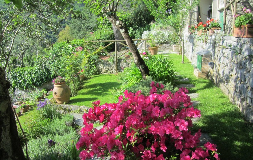 Location de vacances - Villa à La Spezia - Le jardin plein de fleurs