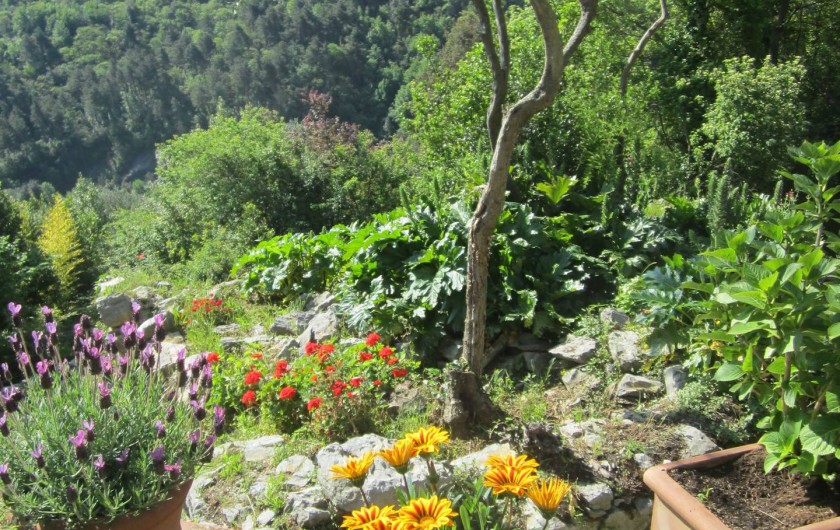 Location de vacances - Villa à La Spezia - Le jardin plein de fleurs