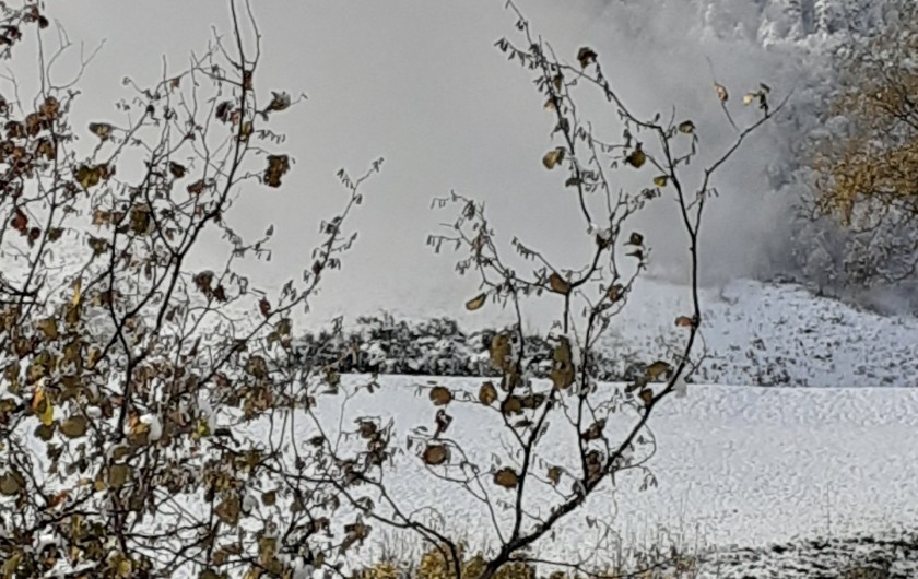 Location de vacances - Chalet à Aspin-Aure