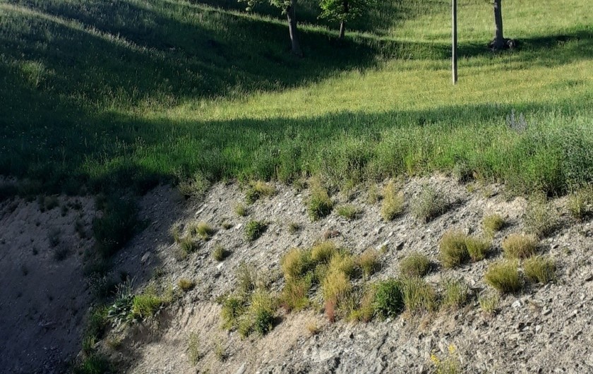 Location de vacances - Chalet à Aspin-Aure