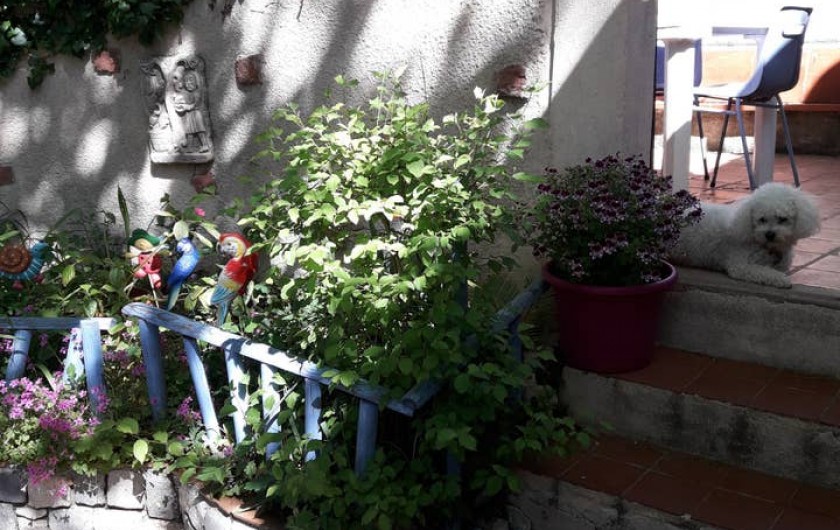 Location de vacances - Chambre d'hôtes à Simiane-Collongue