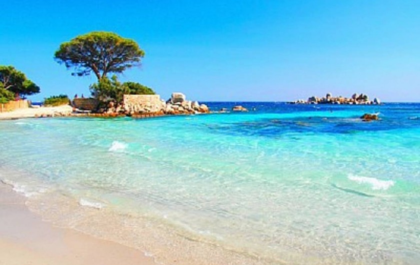 Location de vacances - Chambre d'hôtes à Simiane-Collongue