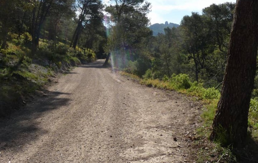 Location de vacances - Chambre d'hôtes à Simiane-Collongue