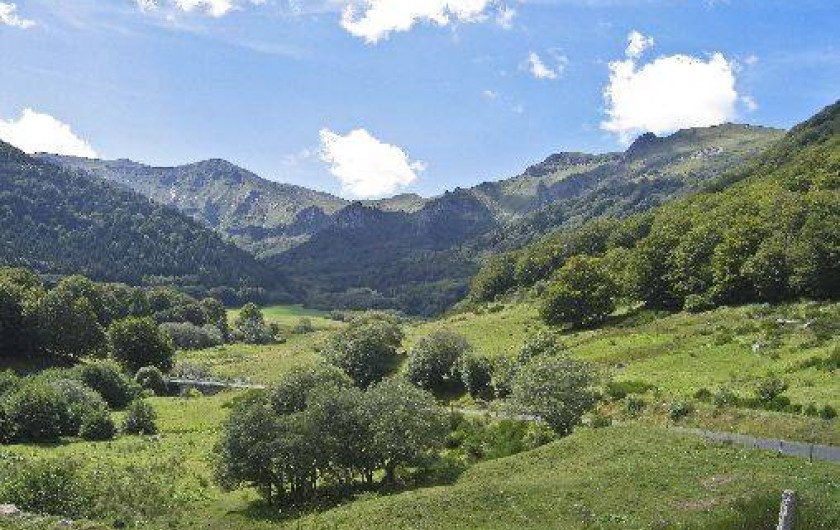 Location de vacances - Camping à Murol