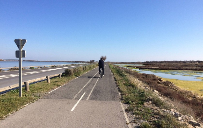 Location de vacances - Villa à Frontignan - Piste cyclable à deux pas de la villa, la nature tout près!