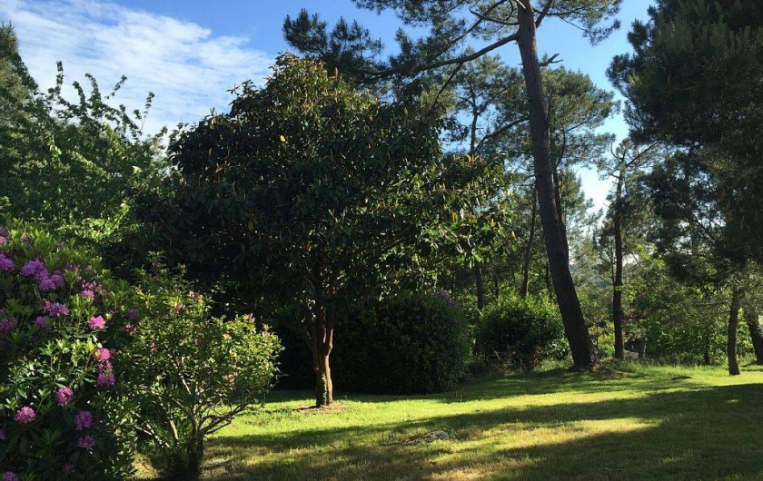 Location de vacances - Maison - Villa à Douarnenez