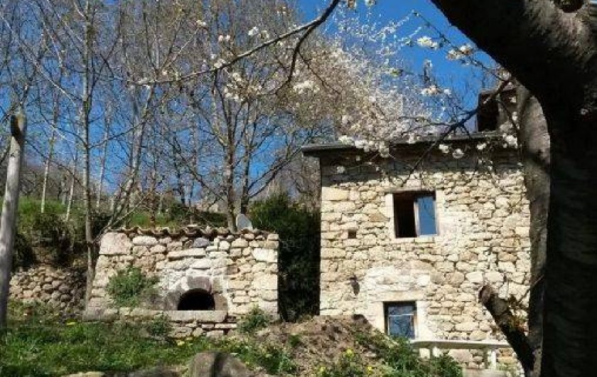 Location de vacances - Appartement à Saint-Michel-de-Boulogne