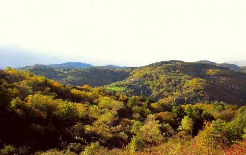 Location de vacances - Appartement à Saint-Michel-de-Boulogne