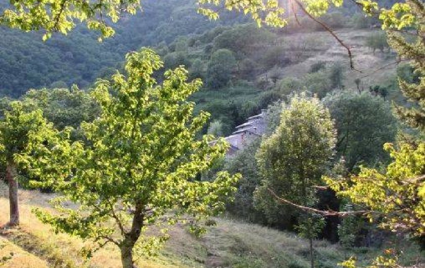 Location de vacances - Appartement à Saint-Michel-de-Boulogne