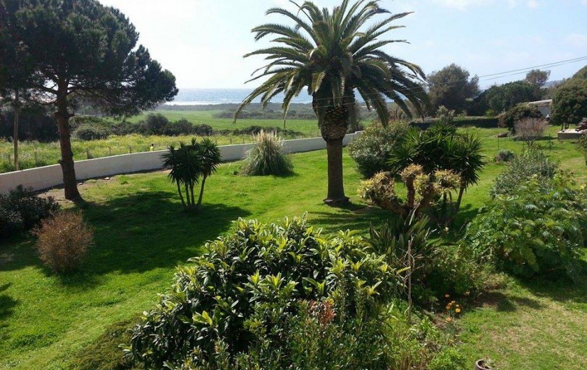 Location de vacances - Appartement à Cargèse - Vue du jardin