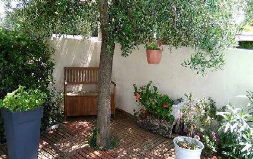 Location de vacances - Chambre d'hôtes à Saint-Thibéry