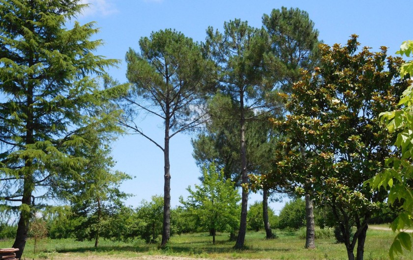 Location de vacances - Gîte à Esclottes - Le Parc