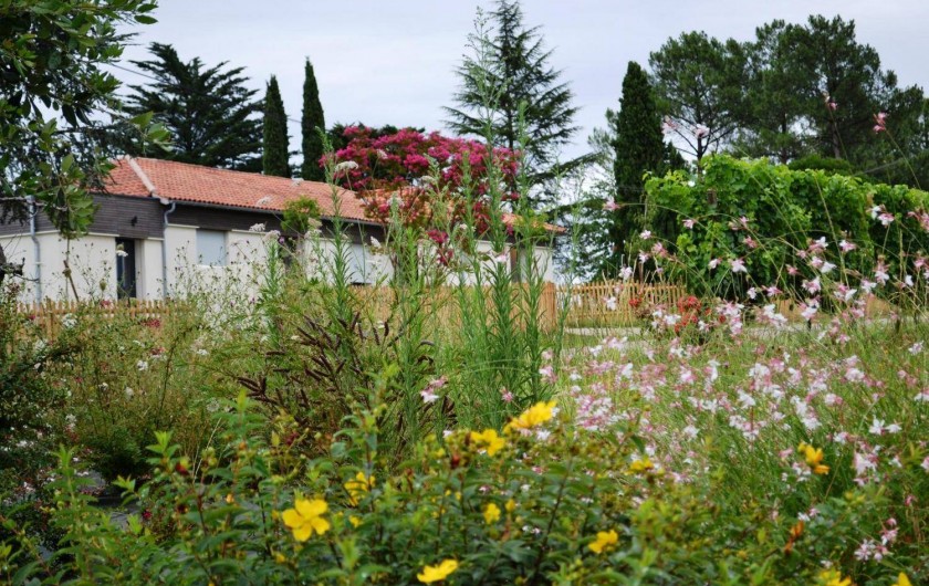Location de vacances - Gîte à Esclottes - Les fleurs du printemps