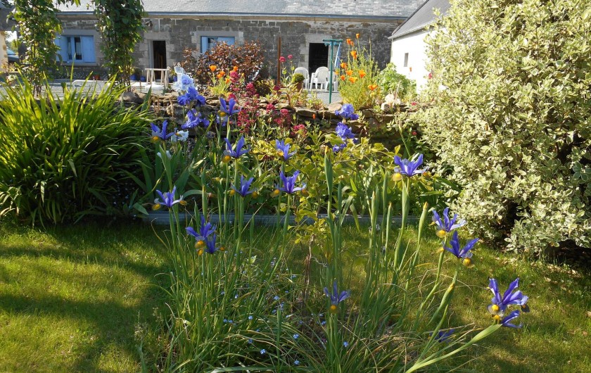 Location de vacances - Gîte à Tréogat - jardin
