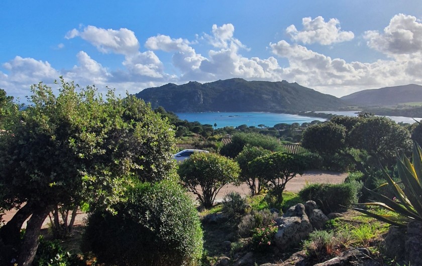 Location de vacances - Villa à Porto-Vecchio - vue du jardin