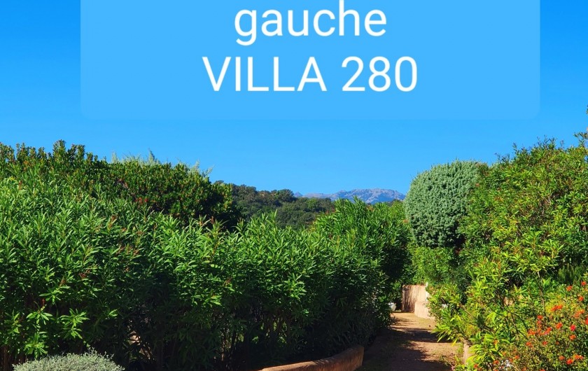 Location de vacances - Villa à Porto-Vecchio - accès villa