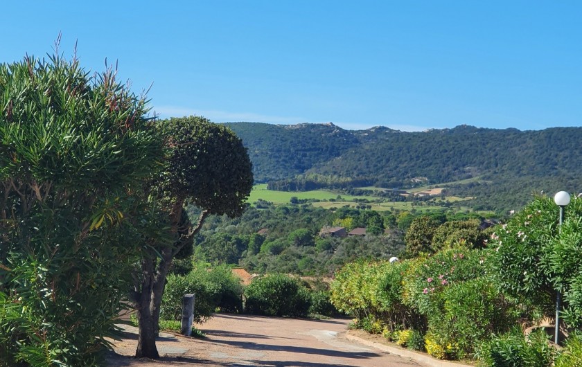Location de vacances - Villa à Porto-Vecchio - Chemin /Route de la résidence