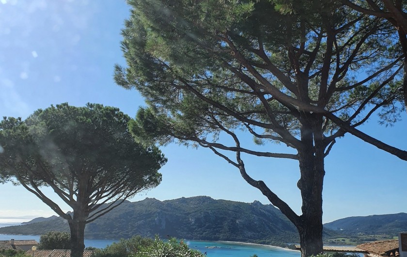 Location de vacances - Villa à Porto-Vecchio - Vue de l'entrée de la résidence