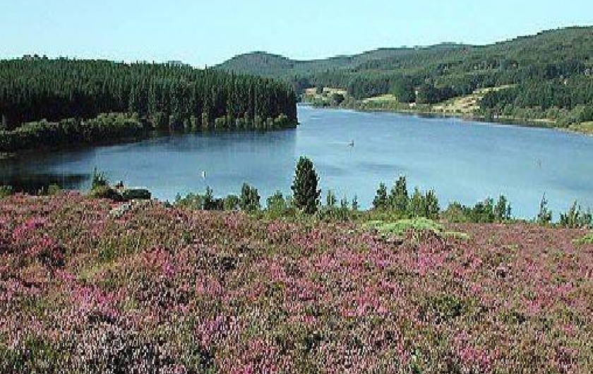 Location de vacances - Maison - Villa à Olargues