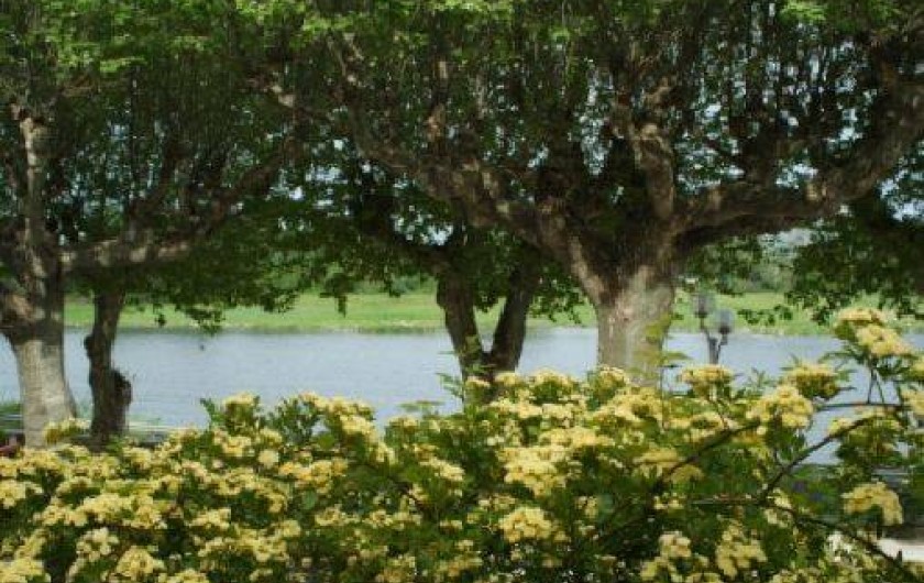 Location de vacances - Château - Manoir à Bourg-Saint-Andéol - vue sur rhône