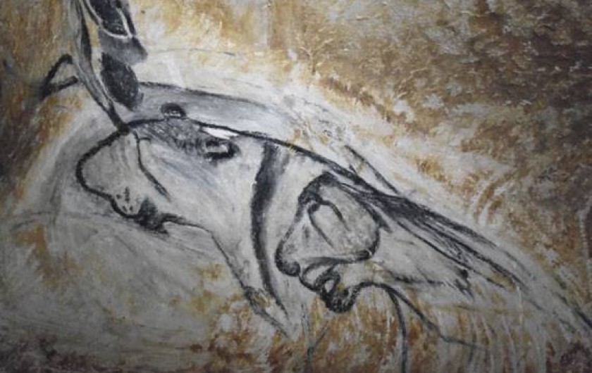 Location de vacances - Château - Manoir à Bourg-Saint-Andéol - grotte Chauvet -caverne du pont d'arc