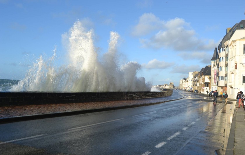 Location de vacances - Maison - Villa à Saint-Malo