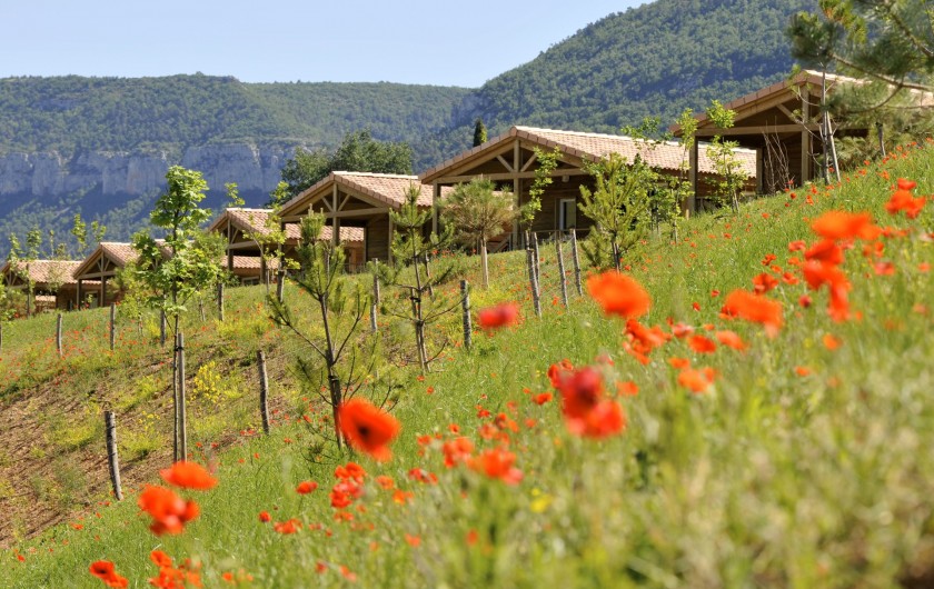Location de vacances - Bungalow - Mobilhome à Millau - Chalets du Causse (extérieur)