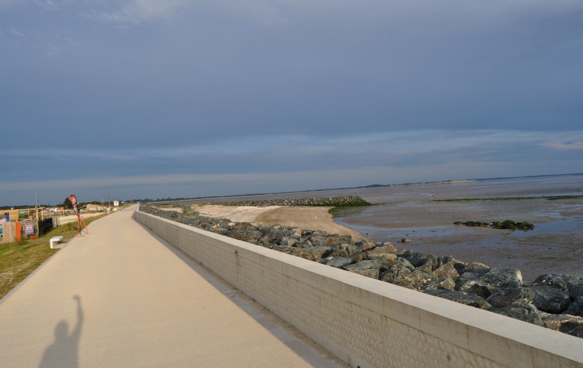 Location de vacances - Villa à Manhattan - Plage naturelle face au logement