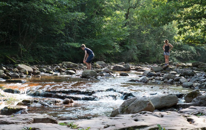 Location de vacances - Villa à Bidarray - rivière à proximitè