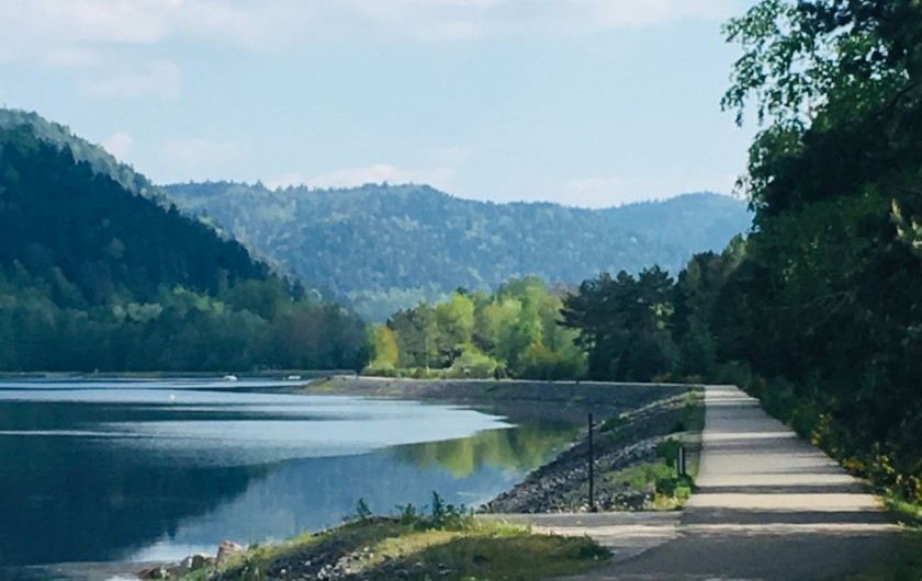 Location de vacances - Gîte à Raon-lès-Leau - Lac de Celles sur Plaine
