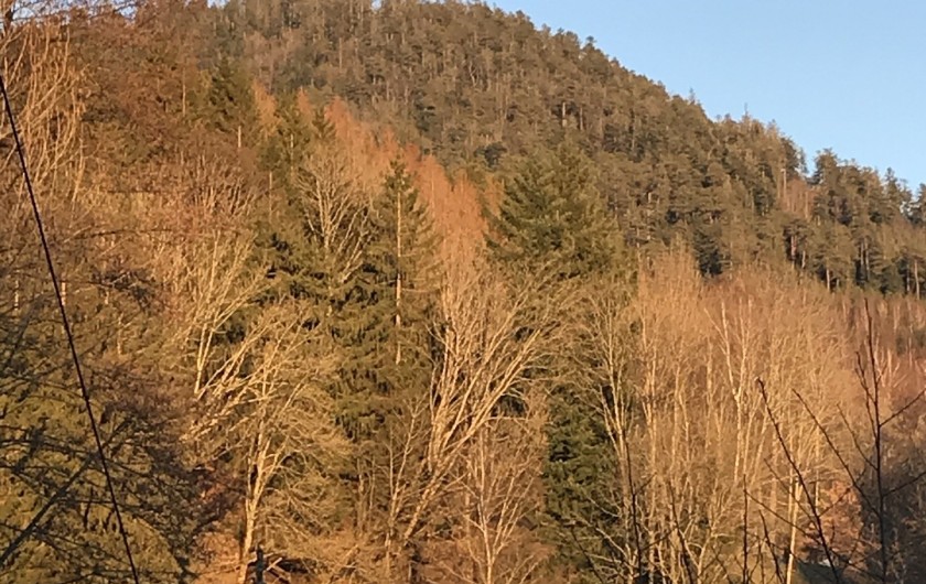 Location de vacances - Gîte à Raon-lès-Leau - Aux environs du gite