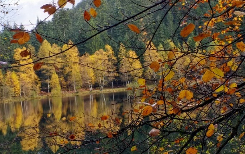 Location de vacances - Gîte à Raon-lès-Leau - Automne au lac de la Maix