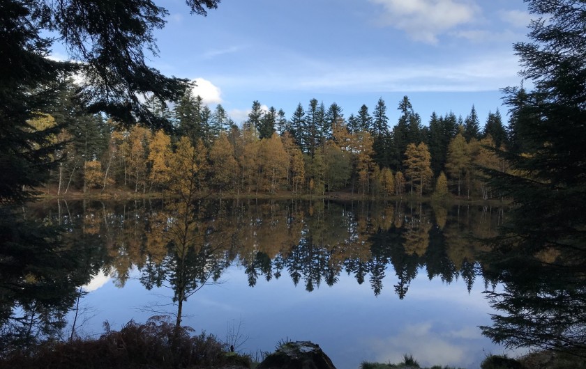 Location de vacances - Gîte à Raon-lès-Leau - Lac de la Maix