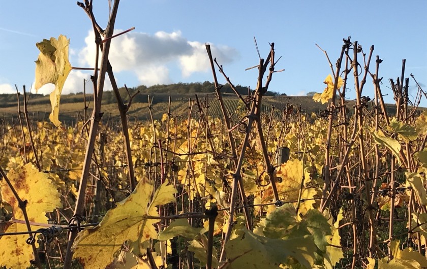 Location de vacances - Gîte à Raon-lès-Leau