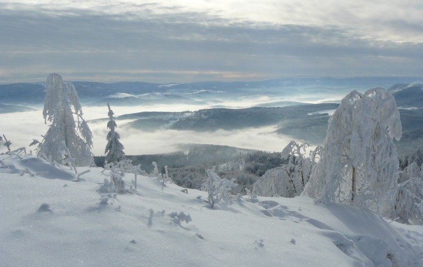 Location de vacances - Gîte à Raon-lès-Leau - Lac de nuages au Donon